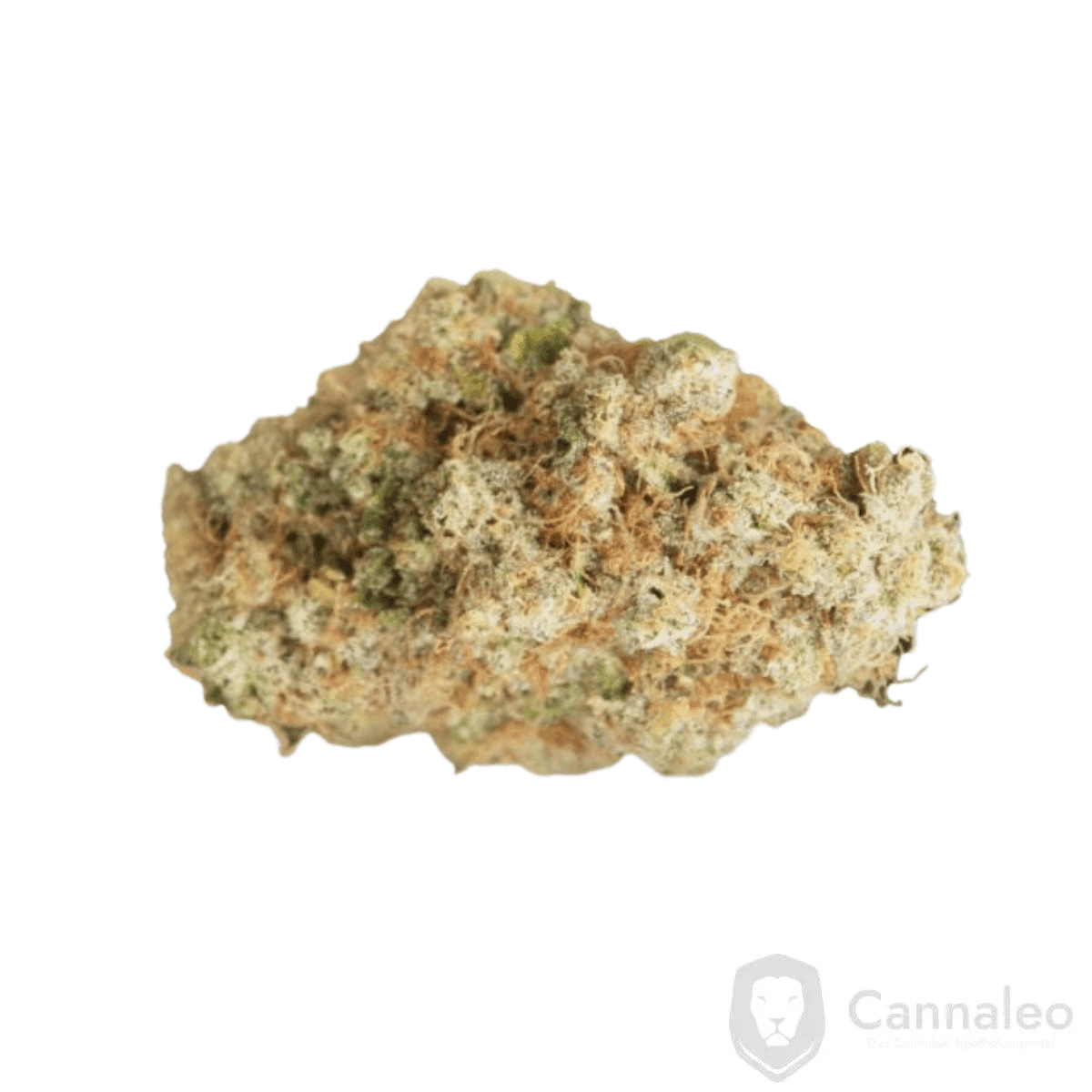 avaay-signature-28-1-pg-platinum-garlic