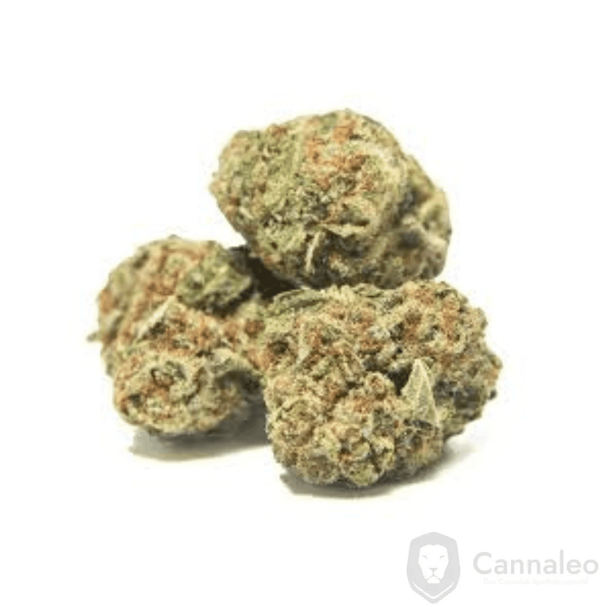 medical-saints-21-1-lem-lemonatti