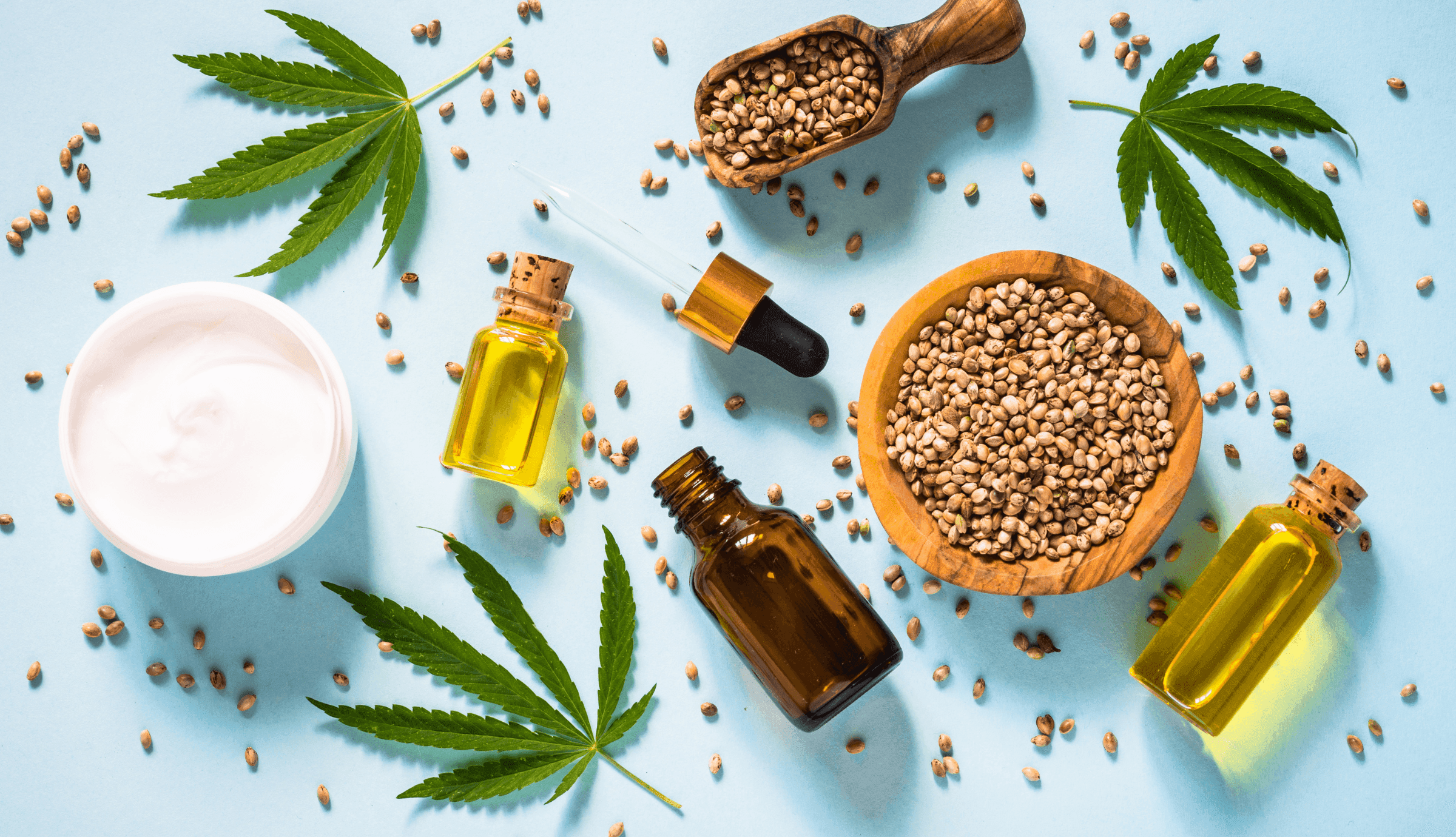 Cannabis Blätter und Extrakte auf hellblauem Hintergrund